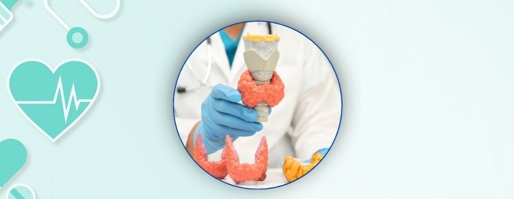 Best Endocrinologist Near Me in Bangalore – Mallige Hospital Seshadripuram